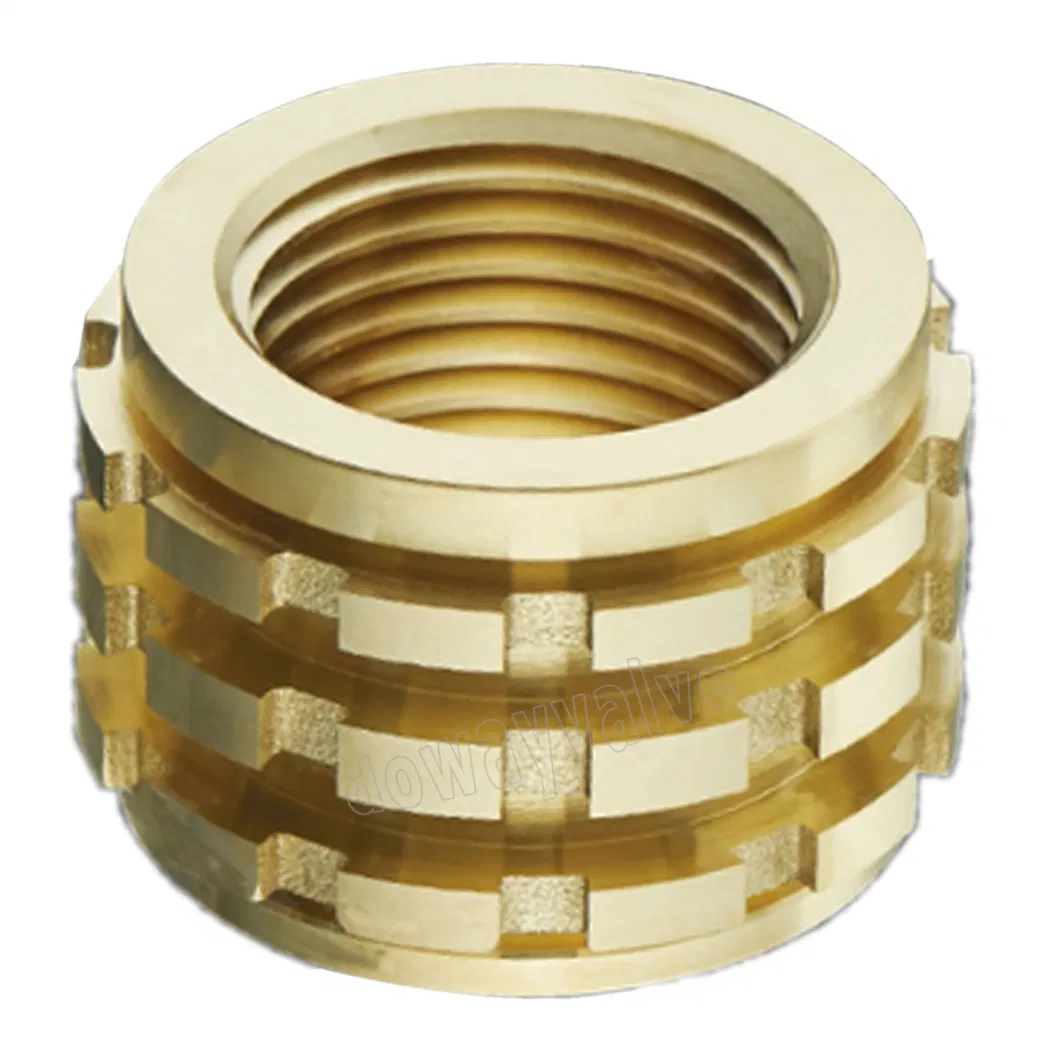 Brass Female PPR Insert PPR Fittings